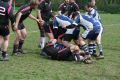 RUGBY CHARTRES 181.JPG